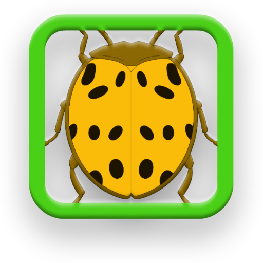 Barrel of Beetles